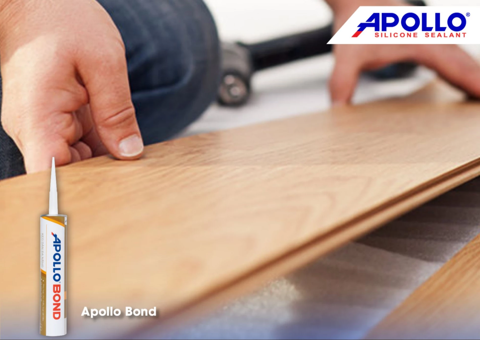Apollo Bond - keo dán gỗ bám dính bền chắc của Apollo Silicone
