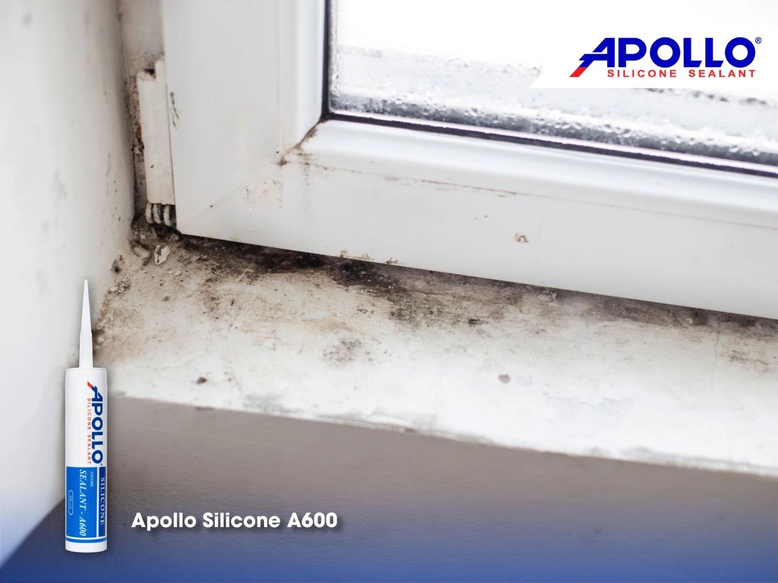 Apollo A600 giúp tiêu diệt mọi vết ẩm mốc trên bề mặt thi công và đảm bảo tính thẩm mỹ cho không gian nhà bạn