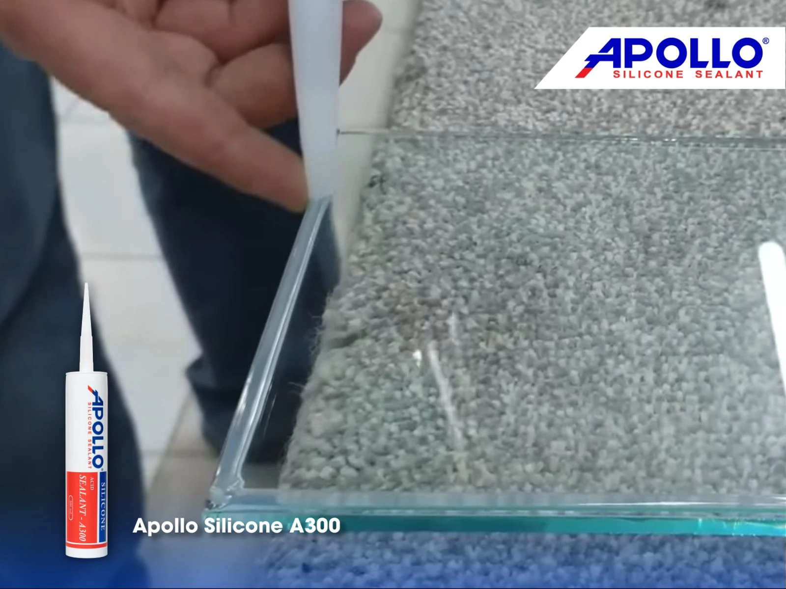 Apollo Silicone A300 - Giải pháp thi công kính hồ cá betta 2 ngăn