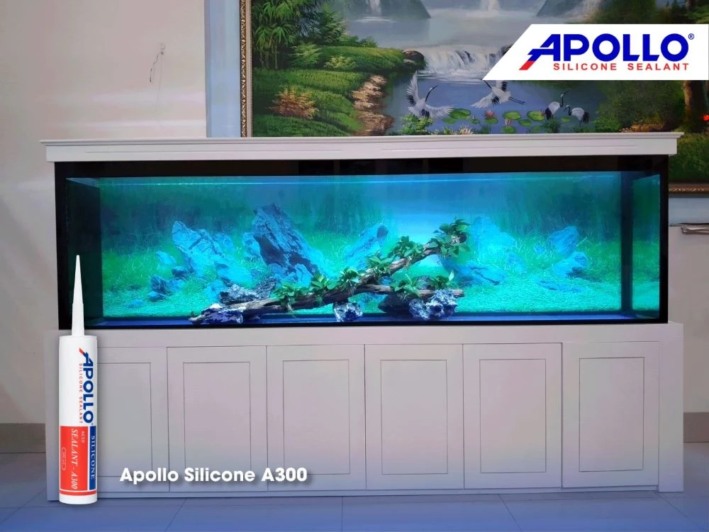 Apollo Silicone A300 - Giải pháp thi công hồ cá Rồng chuyên nghiệp